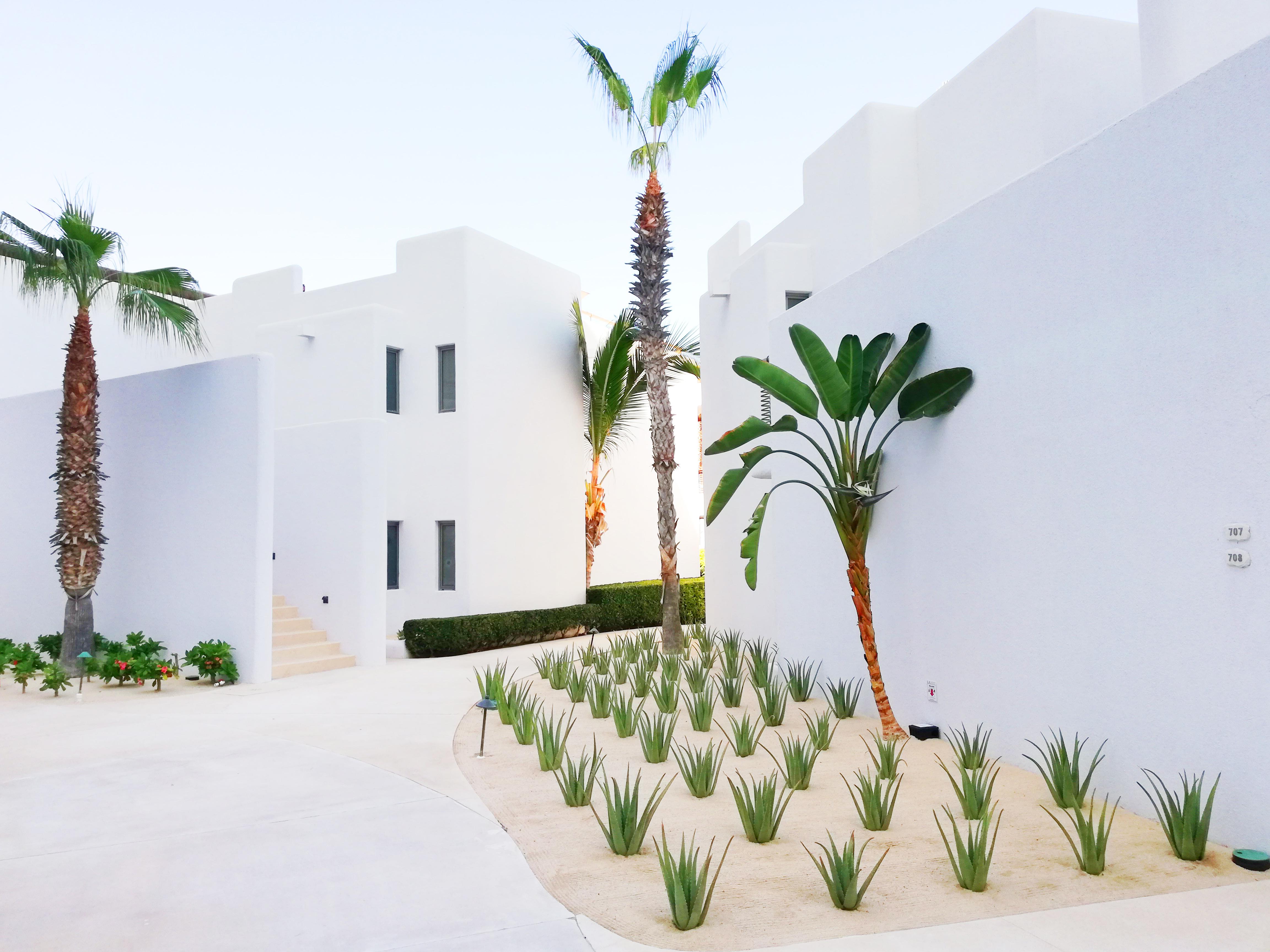 Marquis Los Cabos, An All - Inclusive, Adults - Only & No Timeshare Resort San José del Cabo المظهر الخارجي الصورة